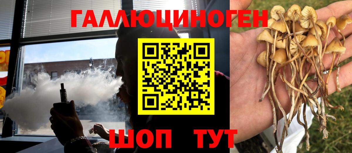 Галлюциногенные грибы Psilocybe  Галлюциногенные грибы прущие грибы  Вход с VPN  Брянск 